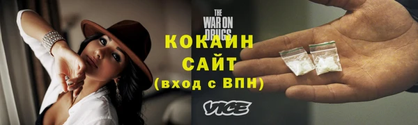 прущие грибы Лагань