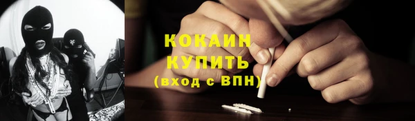 прущие грибы Лагань