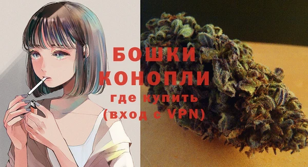прущие грибы Лагань
